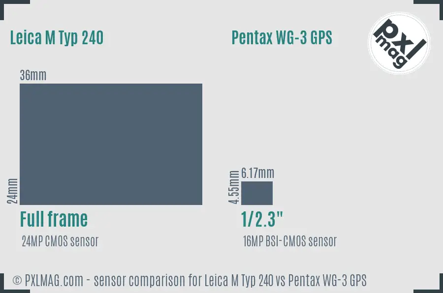 Leica M Typ 240 vs Pentax WG-3 GPS sensor size comparison Leica M Typ 240 vs Pentax WG-3 GPS sensor size comparison