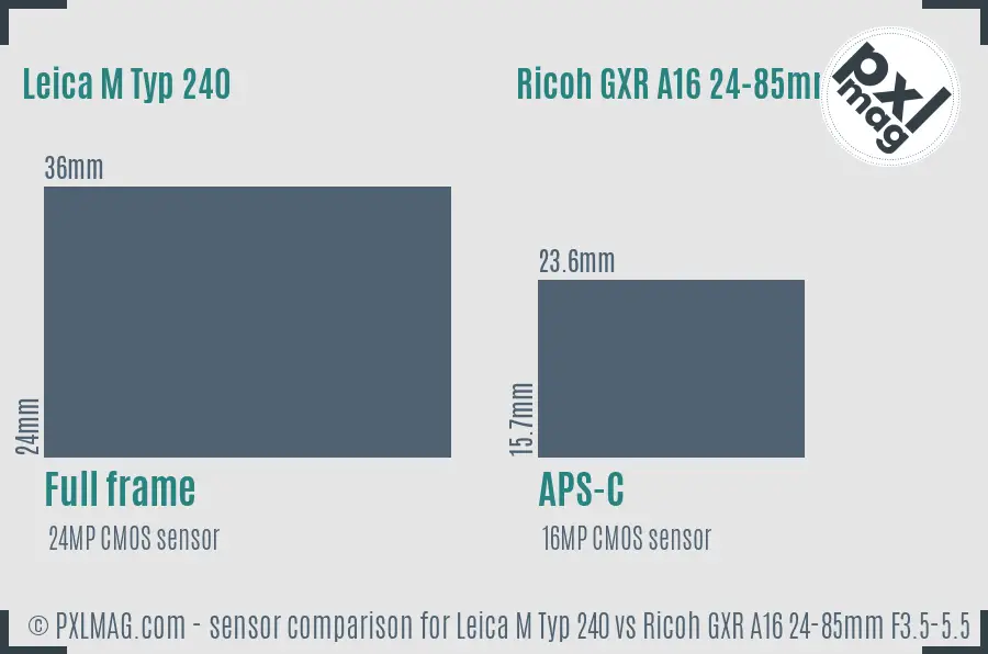 Leica M Typ 240 vs Ricoh GXR A16 24-85mm F3.5-5.5 sensor size comparison