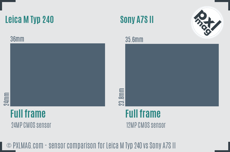 Leica M Typ 240 vs Sony A7S II sensor size comparison