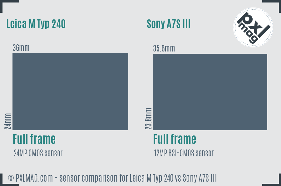 Leica M Typ 240 vs Sony A7S III sensor size comparison