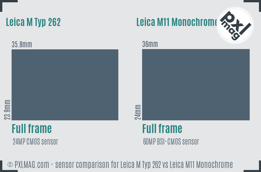 Leica M Typ 262 vs Leica M11 Monochrome sensor size comparison
