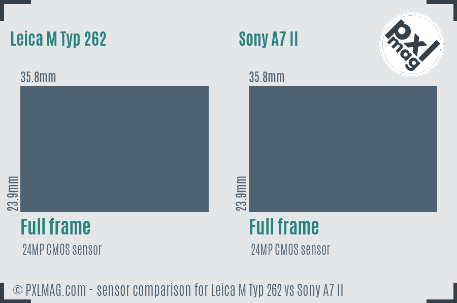 Leica M Typ 262 vs Sony A7 II sensor size comparison