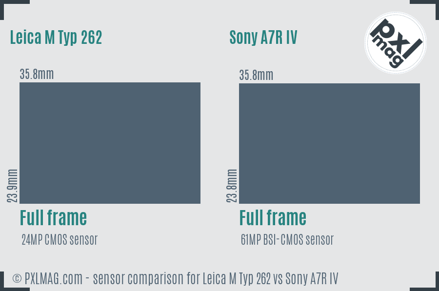 Leica M Typ 262 vs Sony A7R IV sensor size comparison
