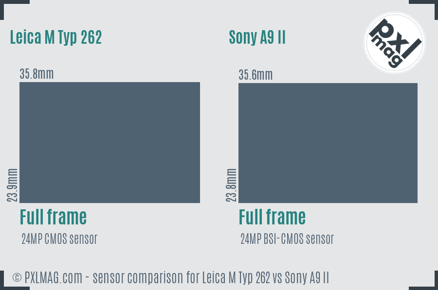 Leica M Typ 262 vs Sony A9 II sensor size comparison