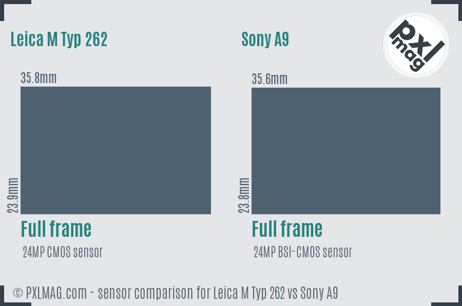 Leica M Typ 262 vs Sony A9 sensor size comparison
