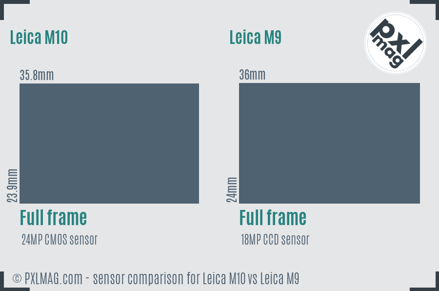 Leica M10 vs Leica M9 sensor size comparison