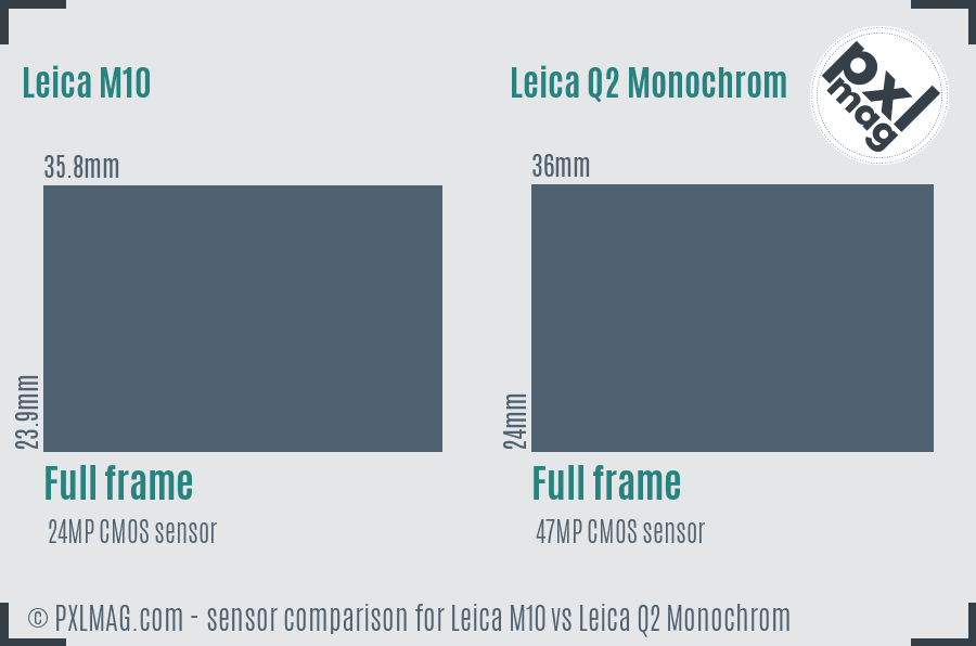 Leica M10 vs Leica Q2 Monochrom sensor size comparison Leica M10 vs Leica Q2 Monochrom sensor size comparison