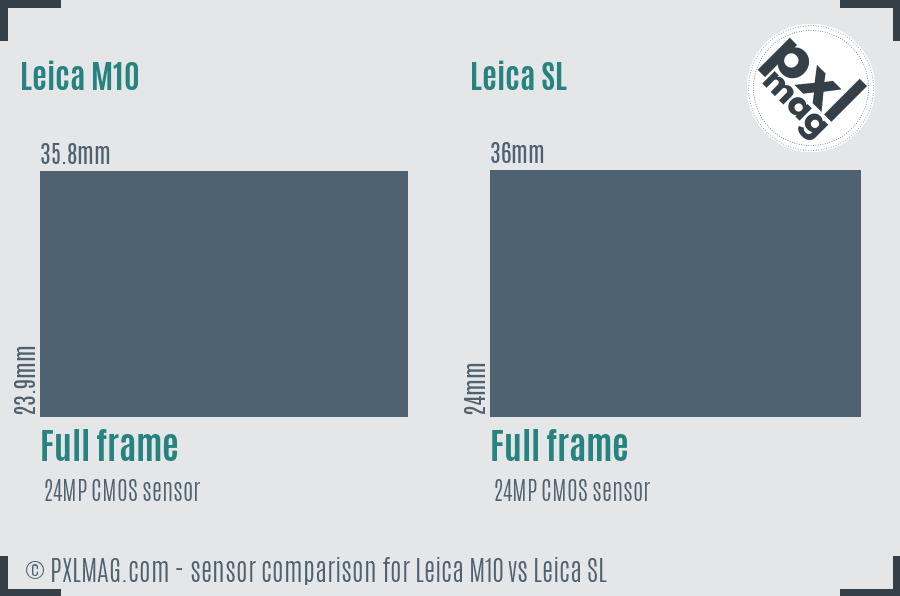 Leica M10 vs Leica SL sensor size comparison