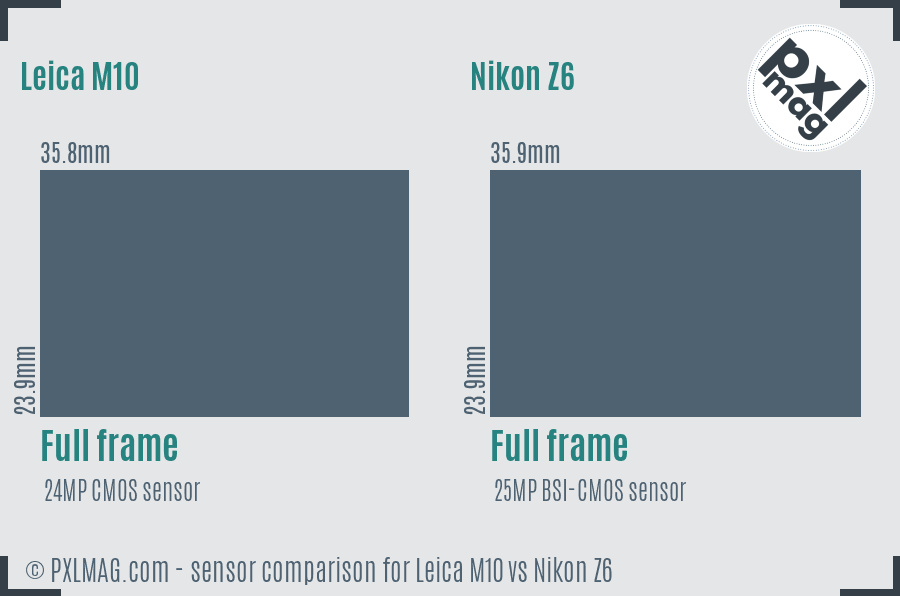 Leica M10 vs Nikon Z6 sensor size comparison