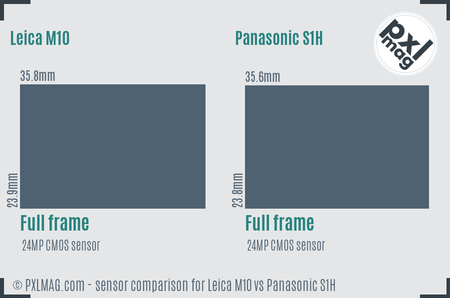 Leica M10 vs Panasonic S1H sensor size comparison