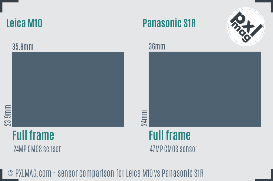 Leica M10 vs Panasonic S1R sensor size comparison