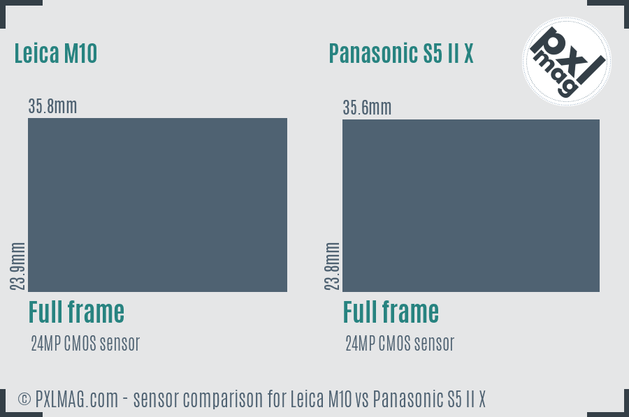 Leica M10 vs Panasonic S5 II X sensor size comparison