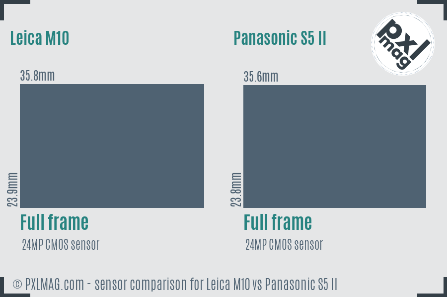 Leica M10 vs Panasonic S5 II sensor size comparison