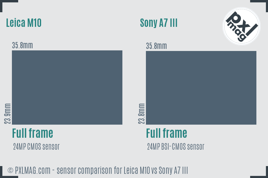 Leica M10 vs Sony A7 III sensor size comparison