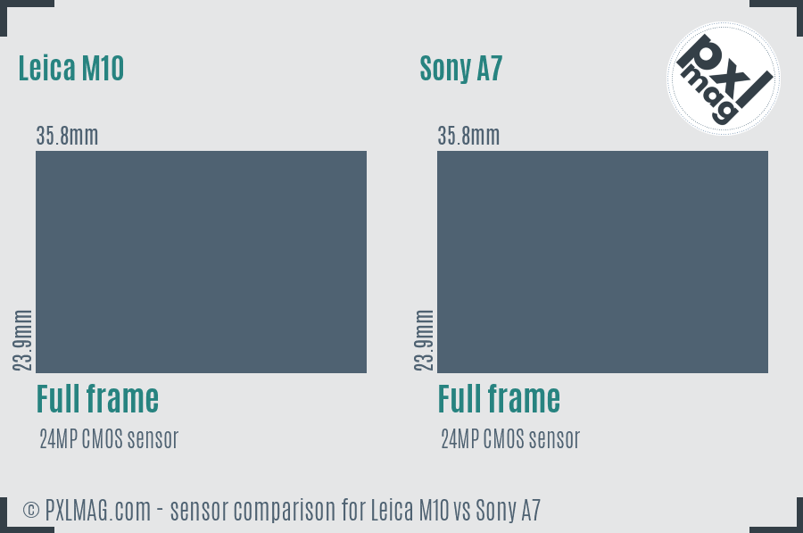 Leica M10 vs Sony A7 sensor size comparison