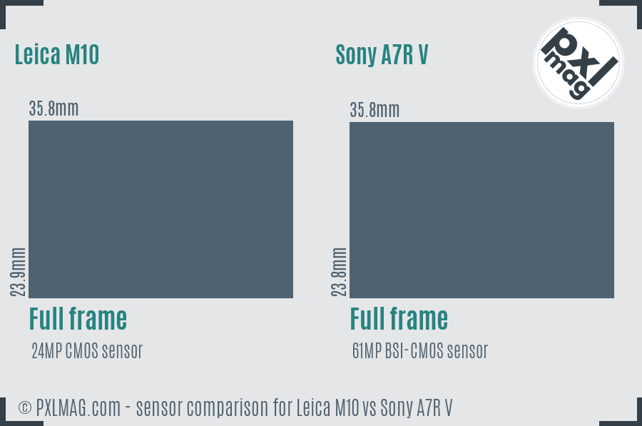 Leica M10 vs Sony A7R V sensor size comparison