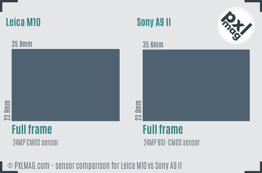 Leica M10 vs Sony A9 II sensor size comparison