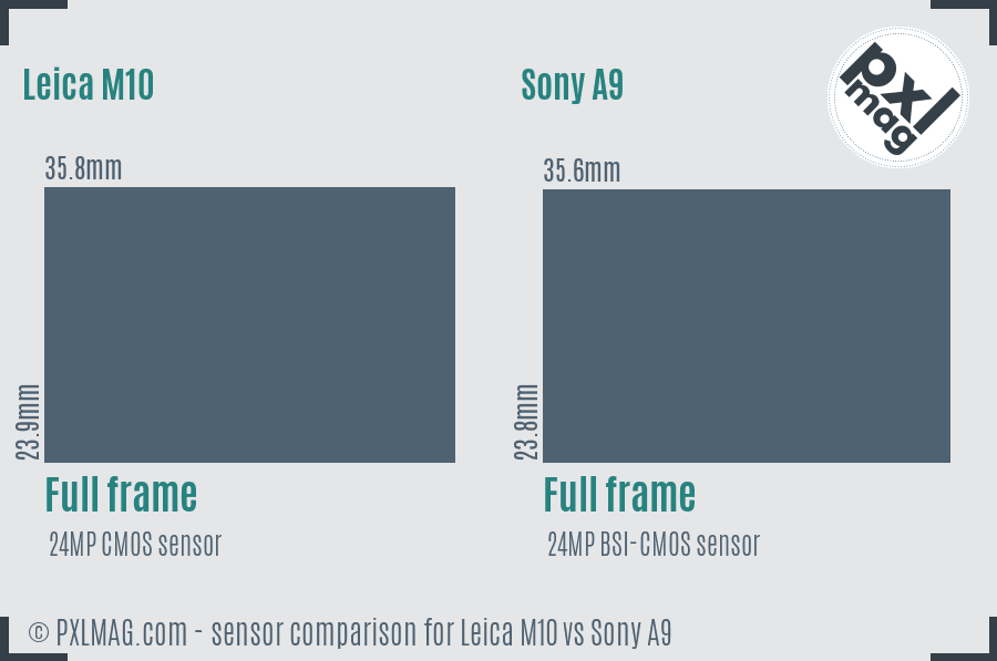 Leica M10 vs Sony A9 sensor size comparison