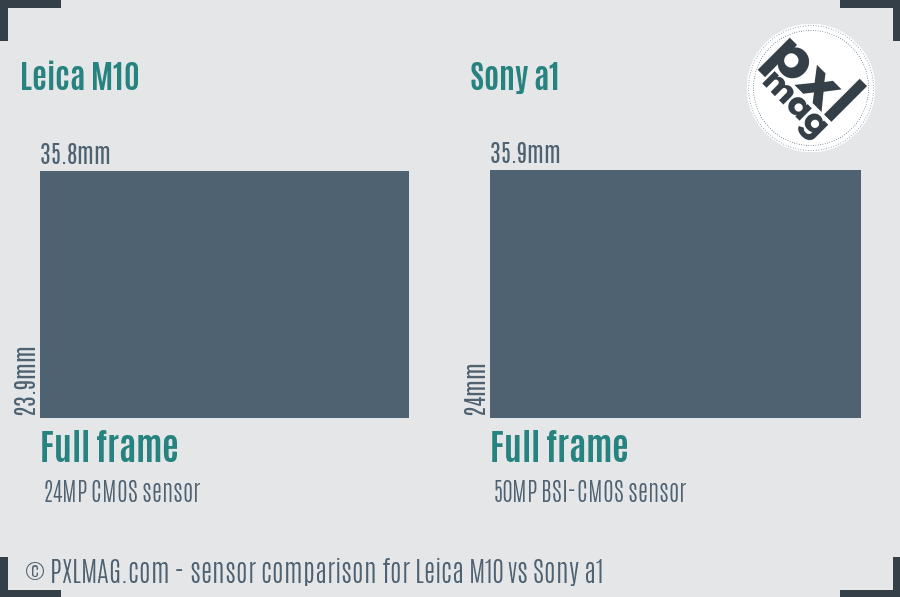 Leica M10 vs Sony a1 sensor size comparison