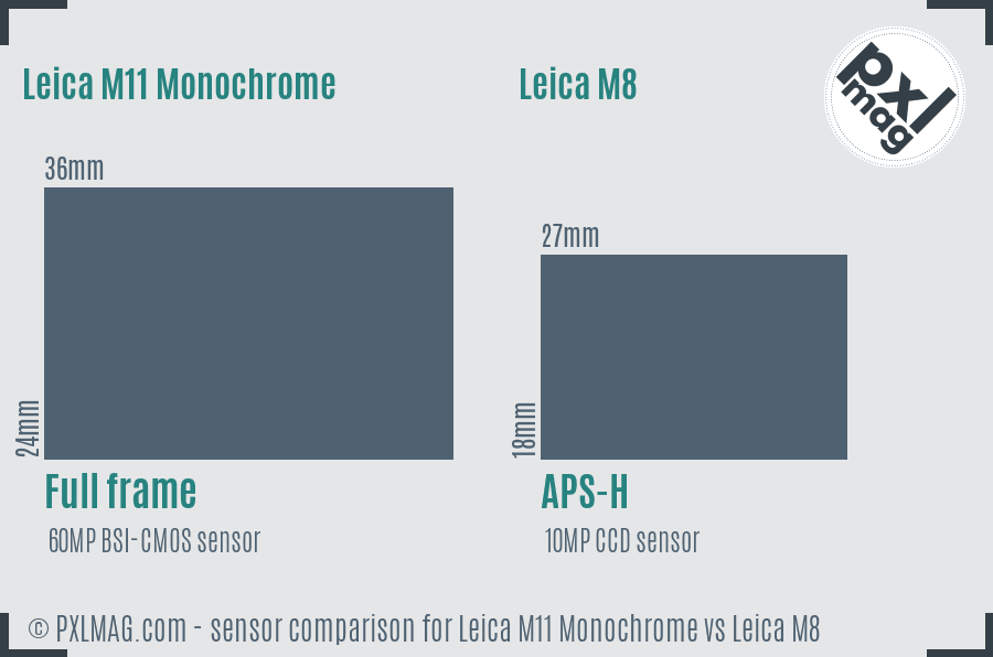 Leica M11 Monochrome vs Leica M8 sensor size comparison