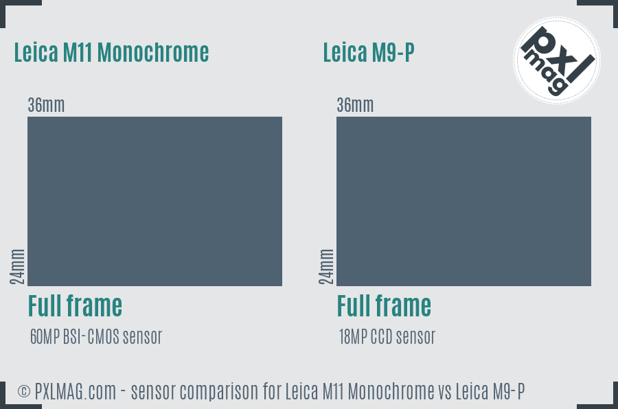 Leica M11 Monochrome vs Leica M9-P sensor size comparison