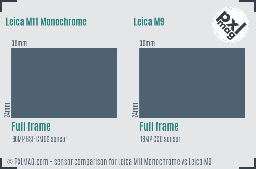 Leica M11 Monochrome vs Leica M9 sensor size comparison