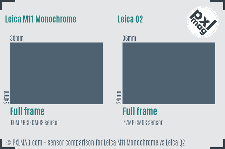 Leica M11 Monochrome vs Leica Q2 sensor size comparison