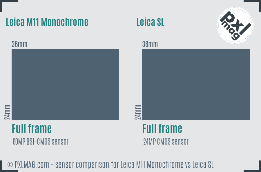 Leica M11 Monochrome vs Leica SL sensor size comparison