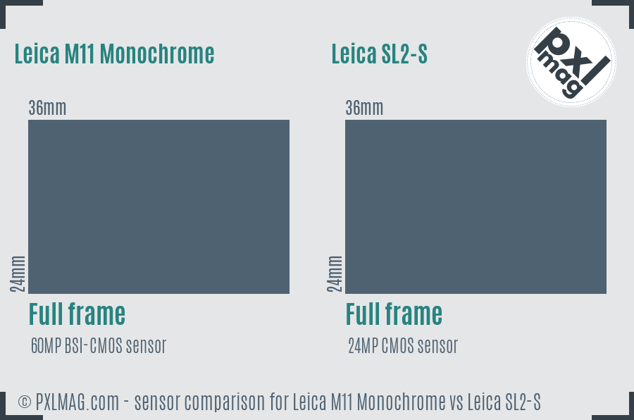 Leica M11 Monochrome vs Leica SL2-S sensor size comparison