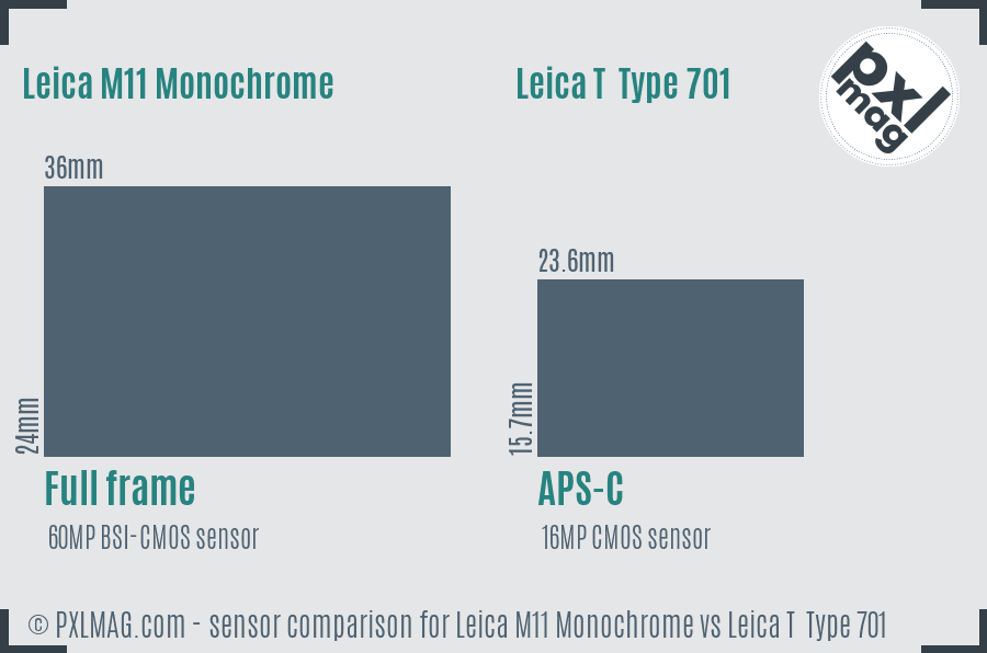 Leica M11 Monochrome vs Leica T  Type 701 sensor size comparison