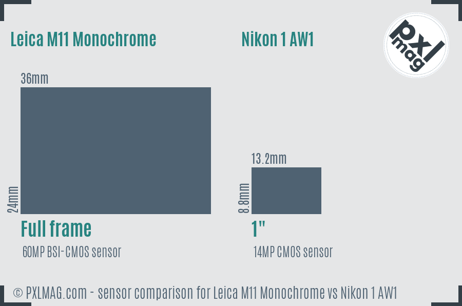 Leica M11 Monochrome vs Nikon 1 AW1 sensor size comparison