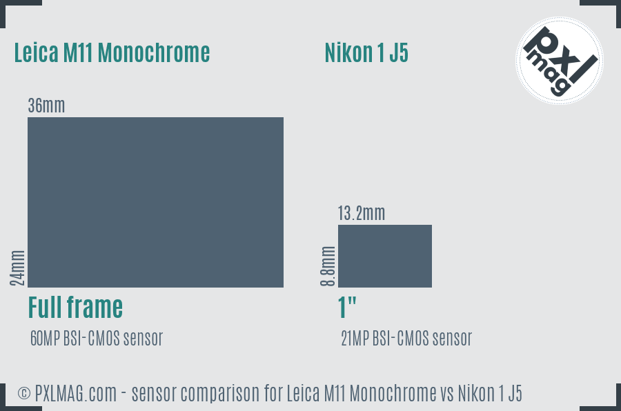 Leica M11 Monochrome vs Nikon 1 J5 sensor size comparison