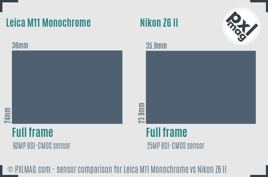 Leica M11 Monochrome vs Nikon Z6 II sensor size comparison