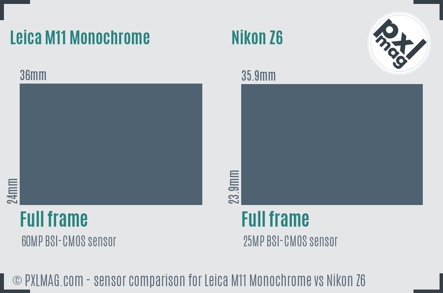 Leica M11 Monochrome vs Nikon Z6 sensor size comparison