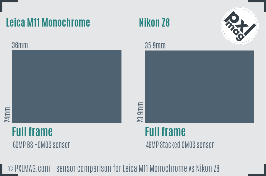 Leica M11 Monochrome vs Nikon Z8 sensor size comparison