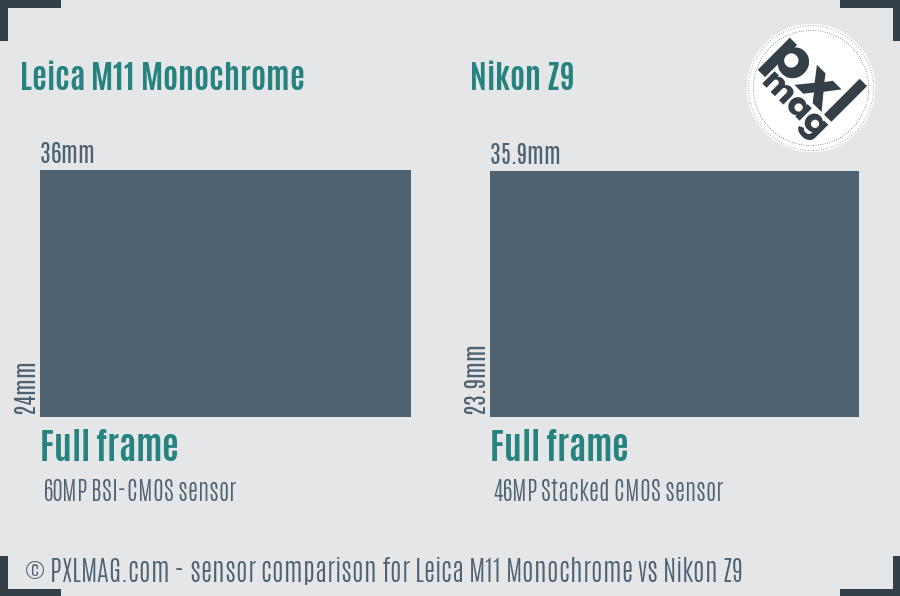 Leica M11 Monochrome vs Nikon Z9 sensor size comparison