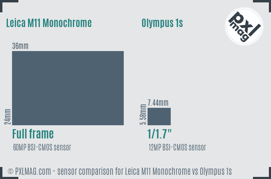 Leica M11 Monochrome vs Olympus 1s sensor size comparison