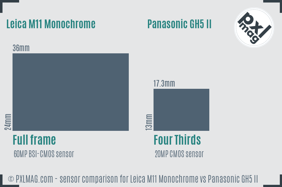 Leica M11 Monochrome vs Panasonic GH5 II sensor size comparison