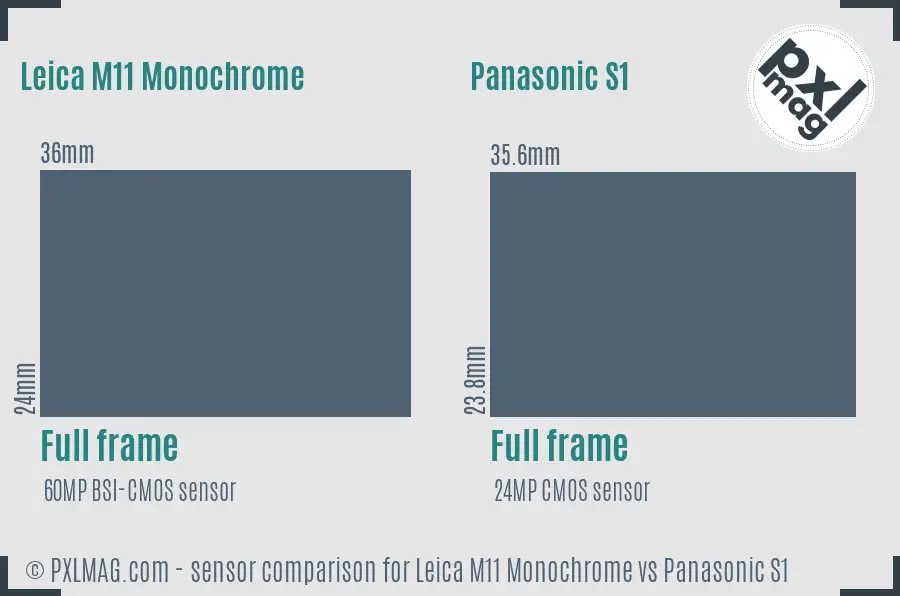 Leica M11 Monochrome vs Panasonic S1 sensor size comparison Leica M11 Monochrome vs Panasonic S1 sensor size comparison