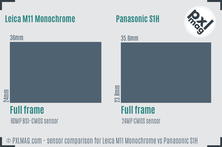 Leica M11 Monochrome vs Panasonic S1H sensor size comparison