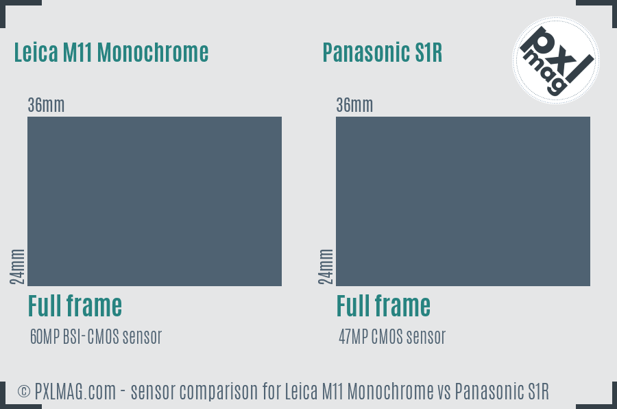 Leica M11 Monochrome vs Panasonic S1R sensor size comparison