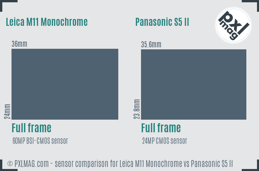 Leica M11 Monochrome vs Panasonic S5 II sensor size comparison