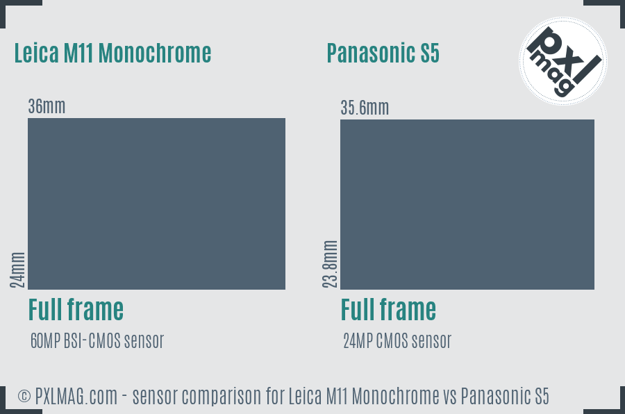 Leica M11 Monochrome vs Panasonic S5 sensor size comparison