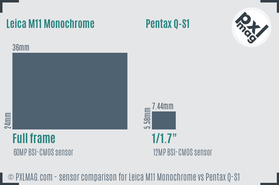 Leica M11 Monochrome vs Pentax Q-S1 sensor size comparison Leica M11 Monochrome vs Pentax Q-S1 sensor size comparison