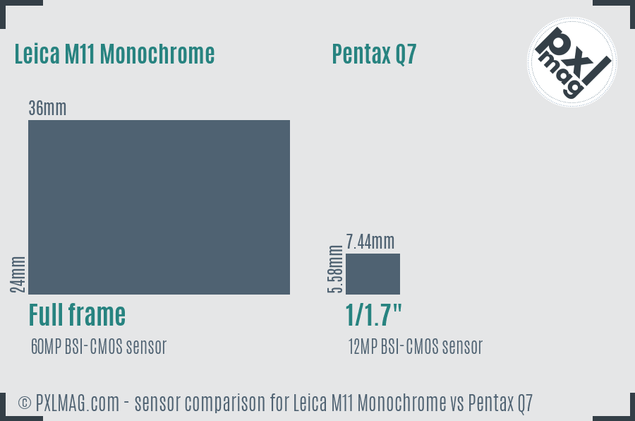 Leica M11 Monochrome vs Pentax Q7 sensor size comparison Leica M11 Monochrome vs Pentax Q7 sensor size comparison
