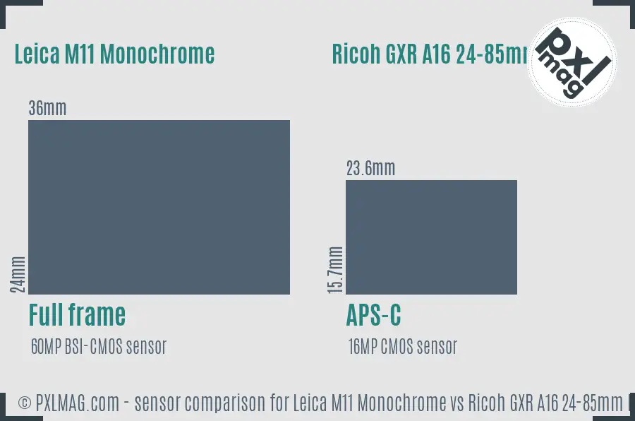 Leica M11 Monochrome vs Ricoh GXR A16 24-85mm F3.5-5.5 sensor size comparison