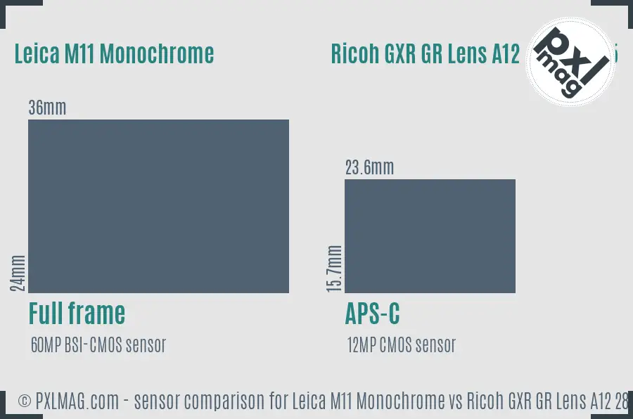 Leica M11 Monochrome vs Ricoh GXR GR Lens A12 28mm F2.5 sensor size comparison