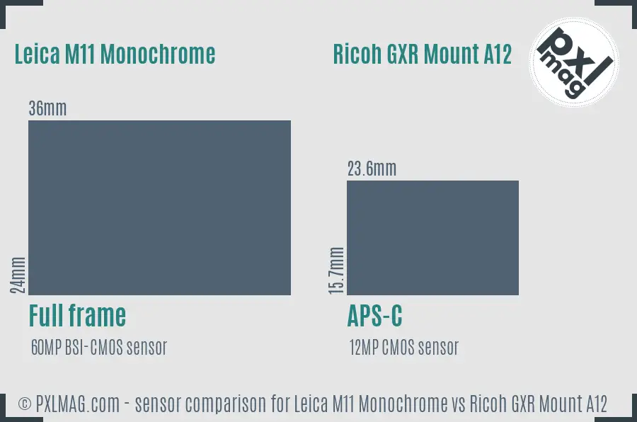Leica M11 Monochrome vs Ricoh GXR Mount A12 sensor size comparison