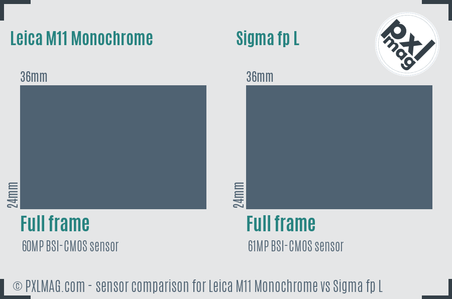 Leica M11 Monochrome vs Sigma fp L sensor size comparison