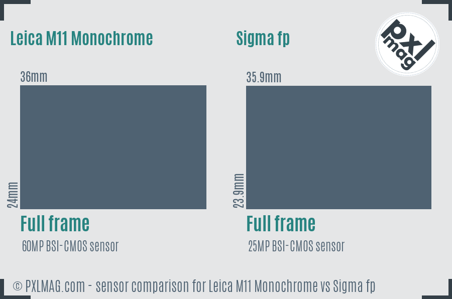 Leica M11 Monochrome vs Sigma fp sensor size comparison Leica M11 Monochrome vs Sigma fp sensor size comparison